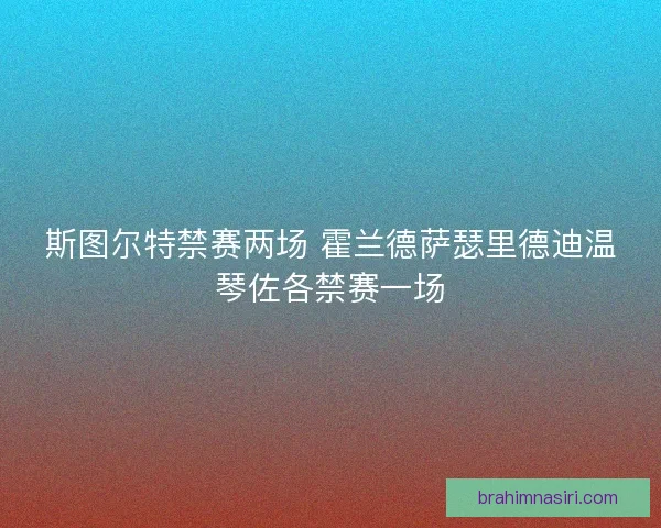 斯图尔特禁赛两场 霍兰德萨瑟里德迪温琴佐各禁赛一场