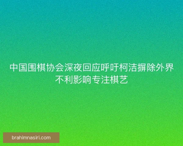 中国围棋协会深夜回应呼吁柯洁摒除外界不利影响专注棋艺