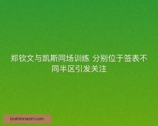 郑钦文与凯斯同场训练 分别位于签表不同半区引发关注